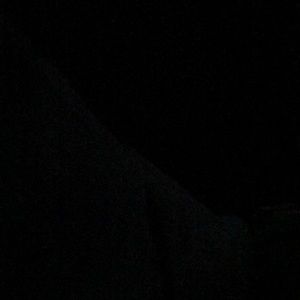 Meet your Posher, Lily